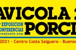 Avícola & Porcinos 2021