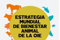 Comentarios a nuevo borrador sobre bienestar animal en ponedoras