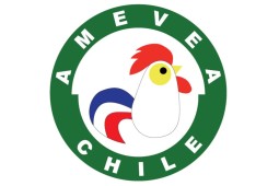 Asume nueva directiva en AMEVEA Chile