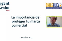 Chilehuevos organizó charla sobre modificaciones a la ley de marcas