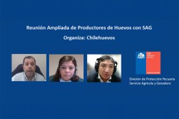 Chilehuevos organiza reunión ampliada de productores de huevos con SAG